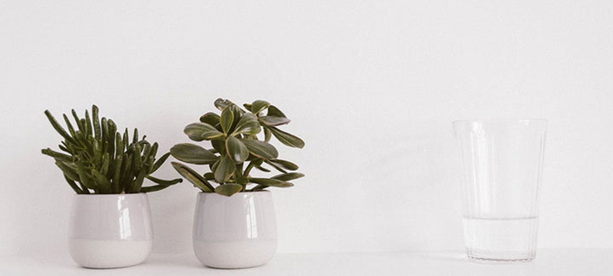 ceramic pots